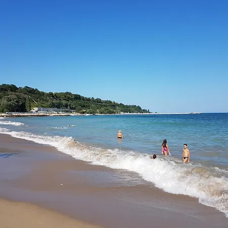 Chaika Sea *